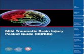 Mild Traumatic Brain Injury Pocket Guide (CONUS) Traumatic Brain Injury... · 2018-10-10 · TBI Basics VA/DoD CPG Management of Headaches Management of Other Symptoms ICD-9 Coding