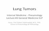 Lung Tumors Internal Medicine - Pneumology Lecture #3 ... · Smoking cessation •70% of smokers want to quit! •Quit programmes cost € 890 per life-year saved (1998 data); lung