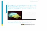 Ecological Assessment of the Queensland …Developmental Jellyfish Fishery (DJF) can be exported. The assessment describes the species caught in the Developmental Jellyfish Fishery