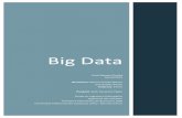 Big Data · Then the current state of the Big Data market is studied by analyzing the architecture of Big Data systems and comparing the existing solutions. The study has been focused
