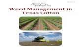 Weed Management in Texas Cotton - Texas A&M Universitypublications.tamu.edu/COTTON/Cotton Weed Control 042016.pdf · 2016-04-26 · 5 CULTURAL CONTROL Field Selection Growth of cotton