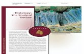 Histology: The Study of Tissuesphysiology.nuph.edu.ua/.../04-Histology...Tissues.pdf · functional characteristics of the major tissue types: epithelial tissue(105), con-nective tissue