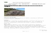 California Wildlife Brush & Rock Pile Job Sheet€¦ · Web viewBrush piles can help ground dwelling wildlife escape the effects of harsh weather (cold or hot temperatures), snow,