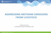 Addressing methane emissions from livestock · Ruminant animals with low levels of production efficiency have relatively high methane emissions per unit of product because these animals