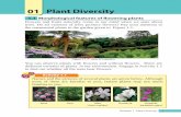 01 Plant Diversity - E-thaksalawa · 8 Science | Plant Diversity Science | Plant Diversity 9 photosynthesis. Examples for underground stems are given in Figure 1.9 Ginger Potato Colocasia