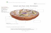 Animal and Plant Cells Worksheet - Doral Academy Preparatory … · 2013-05-03 · Partnerships for Reform through Investigative Science and Math . Plants and Animal Cells 1.1 . 6