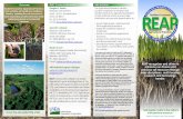 Providing Central Access to USDA’s Open Research Data - ARS … REAP Brochure... · trans-disciplinary, multi-location research and technology transfer. “Soil organic matter is