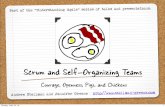 Scrum and Self-Organizing Teams - Building Better ... Scrum values give direction to the practices and