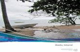 Part 7 - Badu Island - local plan code 7 - Badu Island - local plan code.pdfcentre, community garden, various sport and recreation facilities (such as a swimming pool, cricket pitch