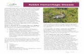 Rabbit Hemorrhagic Disease...Zealand, Cuba, parts of Asia and Africa, as well as most of Europe. Rabbit Hemorrhagic Disease Virus Serotype 2 (RHDV2) emerged in France in 2010 and has