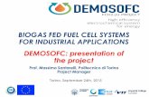 BIOGAS FED FUEL CELL SYSTEMS FOR INDUSTRIAL APPLICATIONS DEMOSOFC… · 2015-09-29 · BIOGAS FED FUEL CELL SYSTEMS FOR INDUSTRIAL APPLICATIONS Torino, September 24th, 2015 DEMOSOFC: