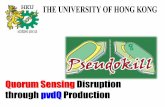 Quorum Sensing Disruption through pvdQ Production2012.igem.org/files/presentation/HKU_HongKong.pdf · 2012-10-06 · 1. Characterize the AHL inducible pvdQ production system (BBa_K855001)