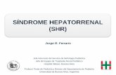 SÍNDROME HEPATORRENAL (SHR) Hepato...SÍNDROME HEPATORRENAL (SHR) CRITERIOS DIAGNÓSTICOS PARA EL SHR (2007)* • Cirrosis con ascitis. • Scr >1.5 mg/dl. • No mejoría de la