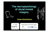 The neuropsychology of visual mental imagerymarsicanus.free.fr/Cours/Corso_Immaginazione.pdf · Bartolomeo, D’Erme & Gainotti, Neurology 44:1710-4, 1994 71% 29% Visual only Imaginal