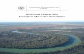 Riverland Ramsar Site Ecological Character Description€¦ · Andy Close, Murray-Darling Basin Commission; o. Steve Barnett, Dept of Water and Land Biodiversity Conservation; o.