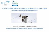 ELECTROCUTION AND COLLISIONS AS MORTALITY FACTORS: …old.lifeneophron.eu/download/pages/395/Presentation_BSPB_Electro… · • Electrocution risk at each pylon was assessed based