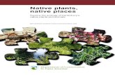 Native plants, native places - Motukarara Nursery ... · plants and animals within an environment Biodiversity—the variety of living things, bio=living and diversity = variety Native