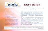 ECN Brief 03/2013 Welcome to the July 2013 issue of the ...ec.europa.eu/competition/ecn/brief/03_2013/brief_03_2013_short.pdfThis is the 19th issue of the ECN Brief, which is a publication