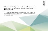 Cambridge to Cambourne Better Public Transport …...Cambridge to Cambourne Better Public Transport Scheme, specifically the works that affect Tree Preservation Orders (TPOs) to the