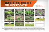 Weed Out Resistance - University of Wisconsin–Madisonwcws.webhosting.cals.wisc.edu/wp-content/uploads/sites/96/2013/0… · supported by BASF, Bayer, DuPont, Dow, Monsanto and Syngenta.