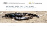 Recovery Plan for the Giant Freshwater Crayfish …€¦ · Web viewThe giant freshwater crayfish is endemic to rivers of northern Tasmania. This species requires well-shaded streams