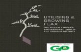 UTILISING & GROWING FLAX - WordPress.com€¦ · flax swamps of the Manawatū; demand for flax products diminished in the face of competition from other natural fibres; and government