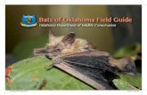 Bats of Oklahoma Field Guide · Alabaster Caverns State Park, Oklahoma Tourism and Recreation Department Central Oklahoma Grotto Cherokee Nation Fort Sill Natural Resources Oklahoma