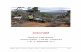 Typhoon Haiyan / Yolanda - Philippines Detailed Needs Assessment â€“ Typhoon Haiyan / Yolanda, December