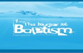 Baptism The Journey of€¦ · The word baptism comes from the Greek word baptizo, which means to immerse. Churches of Christ baptise by immersing a person in water. However, there
