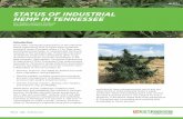 STATUS OF INDUSTRIAL HEMP IN TENNESSEE - …...juana production. During World War II, jute and abaca imports were disrupted, and hemp production in the United States briefly increased
