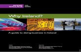 Why Ireland? - ByrneWallace · 2013-02-15 · the United Arab Emirates among others and will have to be ratified. Updated treaties with Germany, Belgium and Switzerland will be signed