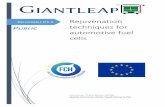 Rejuvenation techniques for automotive fuel cellsgiantleap.eu/wp-content/uploads/2019/02/D1.5.pdf · Project acronym: GIANTLEAP. Project title: ... membrane defects and eliminating