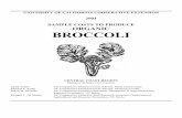 SAMPLE COSTS TO PRODUCE ORGANIC BROCCOLIcoststudyfiles.ucdavis.edu/.../broccoliorgcc2004.pdf · organic broccoli is planted. Organic farmers generally use a ‘systems management’