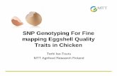 SNP Genotyping For Fine mapping Eggshell Quality …...• created genotyping problems • can not be clustered with genotypes from other 4 OPA sets • 1 plate worked poorly →3
