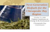 Next-Generation Biofuels for the Chesapeake Bay Regiondls.virginia.gov/GROUPS/energy/meetings/101408/Presenration_Swanson.pdf · animal fat, yellow grease, restaurant waste, algae,