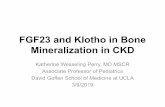 FGF23 and Klotho in Bone Mineralization in CKDpediatrics.med.miami.edu/documents/Katherine... · Wang H et al JBMR 2008: Osteocyte-specific Klotho deletion increases bone formation