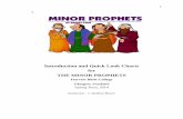 Introduction and Quick Look Charts for THE MINOR PROPHETS SUMMARY VIEW OF THE MINOR PROPHETS"! " 1.