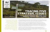 TRACING FIVE STRATEGIC ISSUES - Global Land Use Change · In June 2016 there was a flash flood that hit the settlement in Putussibau Selatan sub-district as high as seven meters and