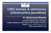CBD stones & strictures (O bstructive jaundice)surgeonshamim.com/lecture pdf/Obstructive Jaundice.pdf · • Primary biliary cirrhosis or end-stage liver dz • Sepsis and hypoperfusion