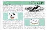 Birds A Birds.pdf · beautiful birds is featured on the front of the presentation pack. RSI’B IS89-19X9 Birds 17 January 1989 Four stamps will be issued on 17 January to commemorate