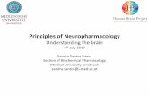 PrinciplesofNeuropharmacology · Synaptictransmission(highlyselective) Pharmacodynamics Neuropharmacologicagents Peripheralnervoussystemdrugs Central nervoussystem(CNS) drugs 6 Effecton