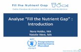Analyse “Fill the Nutrient Gap” : Introduction the... · 2018-11-07 · des Nations Unies Autres partenaires Bureau du pays, division nutrition au siège social, Bureau régional