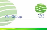 YNI Groupyni.global/financial/wp-content/uploads/2020/01/YNI-group-brief.pdf · Introduction The group was started in 2014. It is relatively new but is growing at an exponential pace