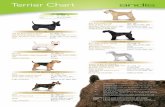 Terrier Chart… · Keep skin taut when clipping dogs and cats. Do not use skip tooth blades on cats. Carburized steel extends edge life – chrome finish resists rustAdvanced formula