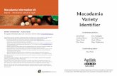 Macadamia variety identifierera.daf.qld.gov.au/id/eprint/1964/14/mac-varieties.pdf · I. Vock, N.T. (Noel Thomas), 1949 -. II. Bell, David, 1963 -. III. Queensland. Dept. Primary