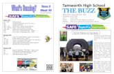 Tamworth High School THE BUZZ...Literacy and Numeracy (NAPLAN) in May this year. Aspects of literacy including reading, spelling, punctuation, grammar and writing, as well as numeracy