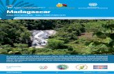 Madagascar · Newsletter n°01 # 2016/2017 As executing agency of the Global Environment Facility (GEF), the United Nations for Industrial Development Organization (UNIDO) launched