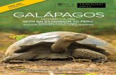 GALÁPAGOS - Rice Alumni Islands.pdf · wildlife and wonders of the islands. Lounging sea lions. lagoon, sea lions cavort on the beach, and pelicans nest on low-lying shrubs. Rábida