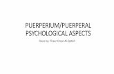 PUERPERIUM/PUERPERAL PSYCHOLOGICAL …...PUERPERIUM/PUERPERAL PSYCHOLOGICAL ASPECTS Done by: Thaer Omar Al-Qatish Postpartum period •The postpartum period refers to the six- to eight-week