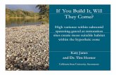 If You Build It, Will They Come? - rrnw.org · If You Build It, Will They Come? High variance within salmonid sppggawning gravel at restoration sites create more suitable habitat